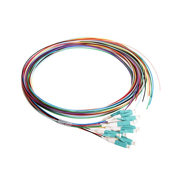 12 Fiber Pigtail, LC/UPC, 900 µm, 50 µm OM3-4, 1m